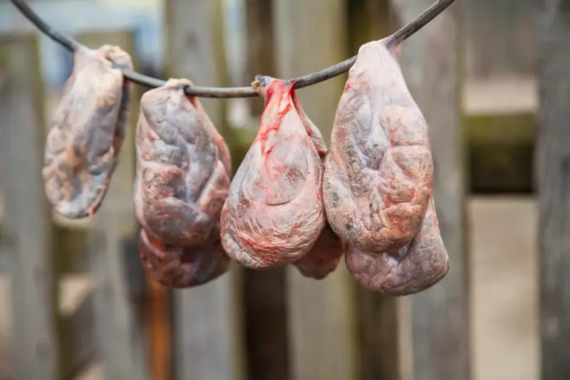 Bezpieczeństwo użytkowania generatora dymu do wędzarni